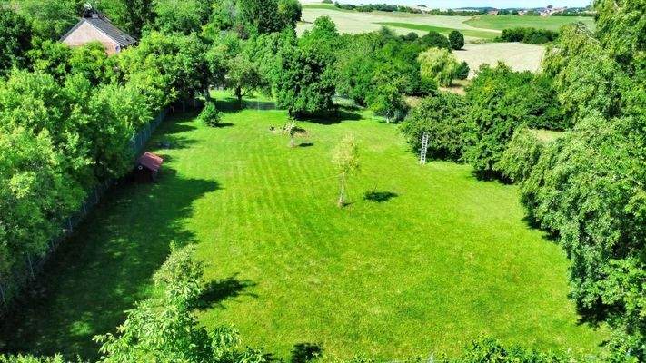 eingezäuntes Trainingsgelände