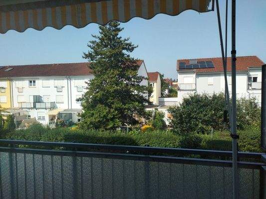 IMG_20250815_104616_MP