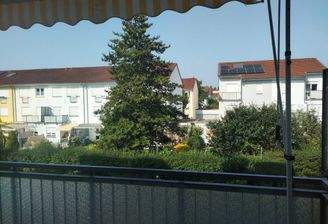 IMG_20250815_104616_MP