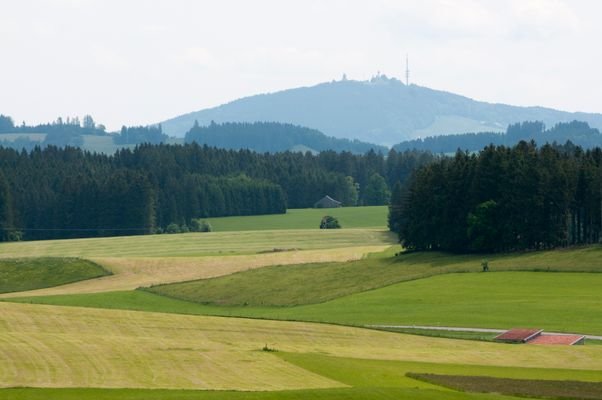 DSC_1527_verbessert.jpg