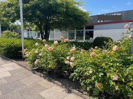 Außenansicht tlw. mit Außenjalousien