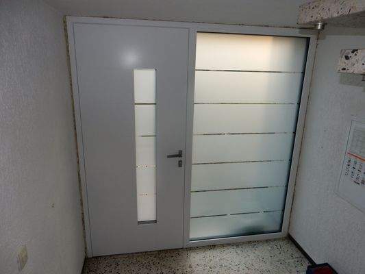 Neue Haustüranlage (Rahmen kommt noch)