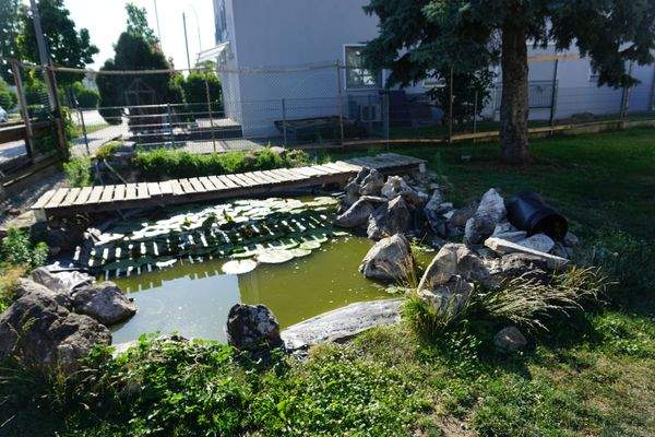 Wer träumt nicht vom eigenen Haus am See?