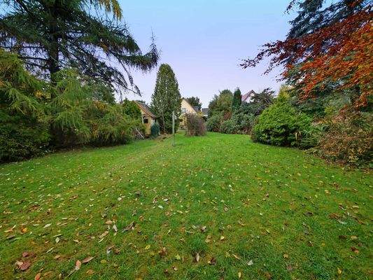 Süd-Grundstück mit Altbestand