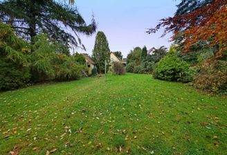 Süd-Grundstück mit Altbestand