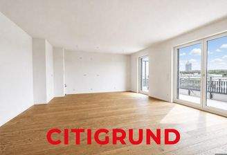 Wohn-/Esszimmer l Offene Küche