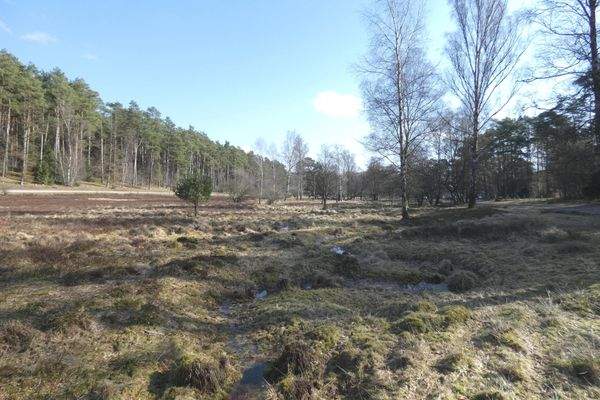 Am Naturschutzgebiet Büsenbachtal und Wörmer Wälder