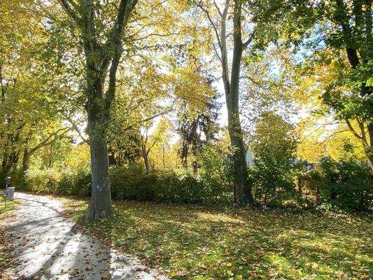 in der nahen Parkanlage