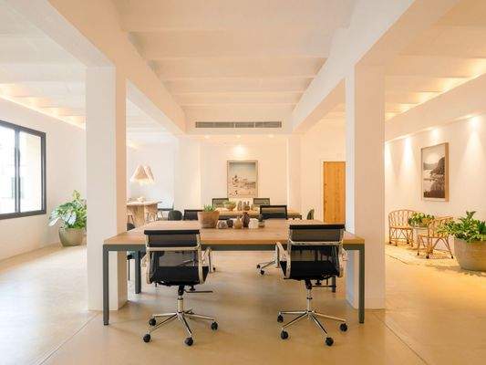 WhatsApp Image 2026-02-13 at 14.32.17