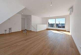 Schumanngasse | Wohnraum