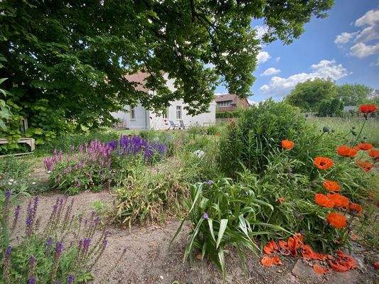 Bild 39