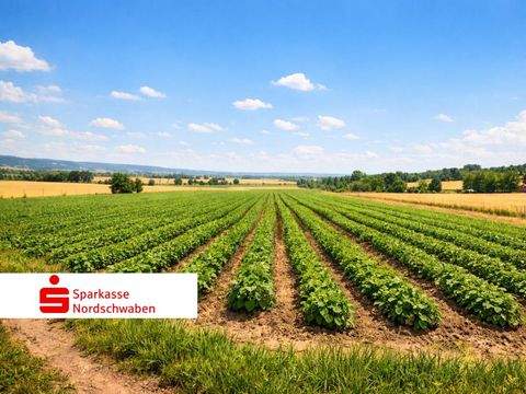 Dillingen Bauernhöfe, Landwirtschaft, Dillingen Forstwirtschaft