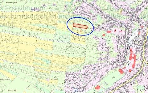 Marpingen Bauernhöfe, Landwirtschaft, Marpingen Forstwirtschaft