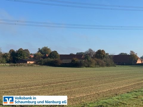 Stolzenau / Anemolter Bauernhöfe, Landwirtschaft, Stolzenau / Anemolter Forstwirtschaft