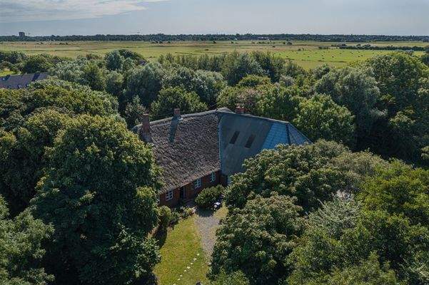 Sommeraufnahme Wirtschaftsseite