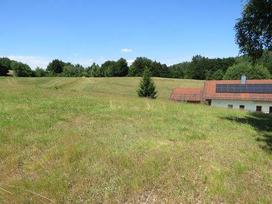 nur ein direkter Nachbar 