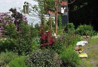 Garten.jpg