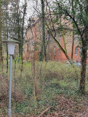 Blick vom Weg und Straße 