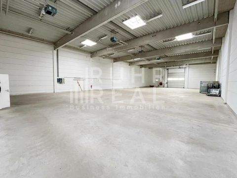 Viersen Halle, Viersen Hallenfläche