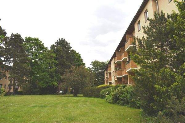 Rasenflächen