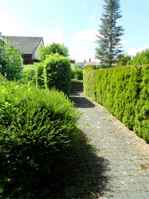 Fußweg zum Eingang EG 