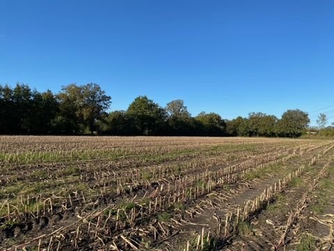 Alveslohe Bauernhöfe, Landwirtschaft, Alveslohe Forstwirtschaft