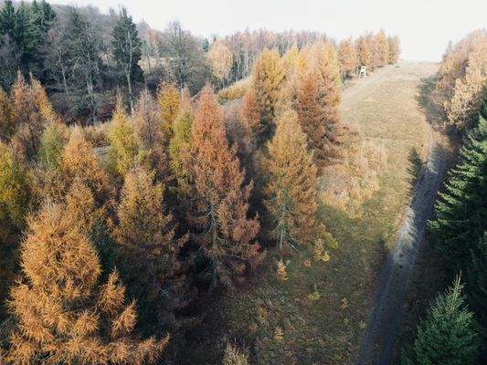Gute jagdliche Infrastruktur