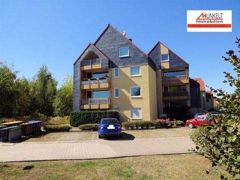 Elsteraue Wohnungen, Elsteraue Wohnung mieten