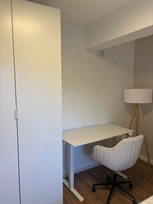 WhatsApp Image 2026-02-19 at 15.36.32