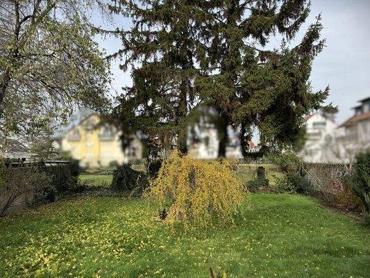 mit Blick auf Ihr Grundstück?