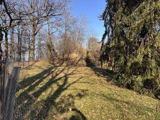 Parkähnlicher Garten