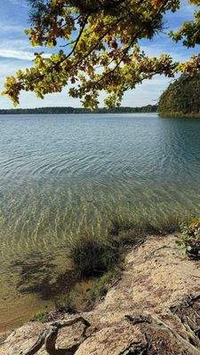 20241017 Steinberg (1).jpeg