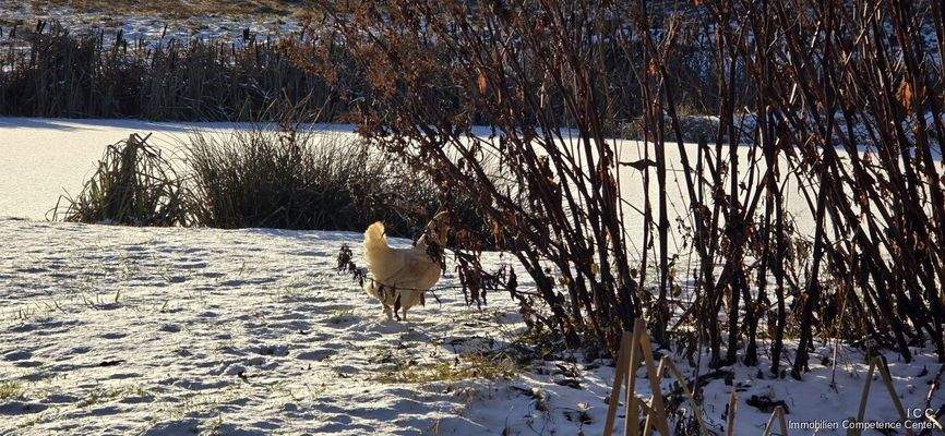 Besuch bei Johannes Hoffrohne am 4. Januar 2026