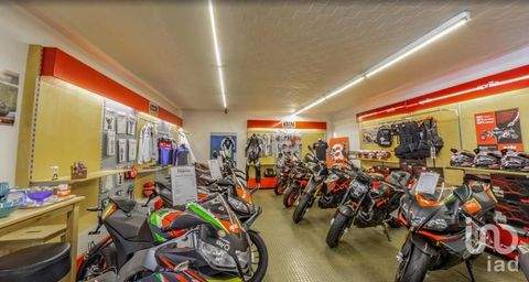 Wuppertal Halle, Wuppertal Hallenfläche