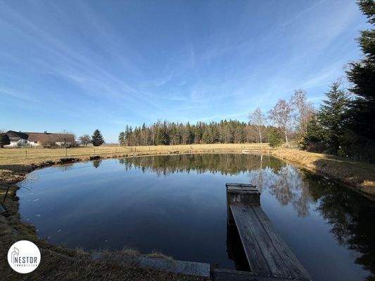 Fischteich - NESTOR Immobilien