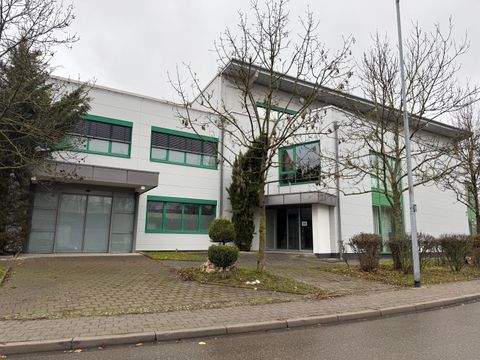 Ingolstadt Halle, Ingolstadt Hallenfläche