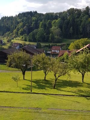 Dillendorf (14)