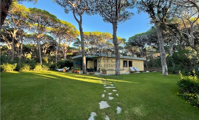 Villa am Goldstrand in der Pineta di Roccamare in Castiglione della Pescaia - Toskana