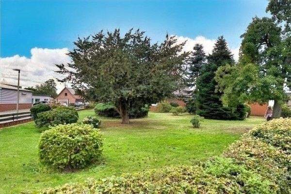 Rasenfläche und Bäume