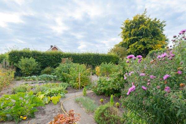 Baugrundstück hinten