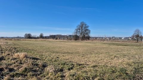 Wolnzach Bauernhöfe, Landwirtschaft, Wolnzach Forstwirtschaft