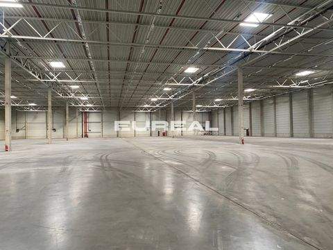 Bergkamen Halle, Bergkamen Hallenfläche