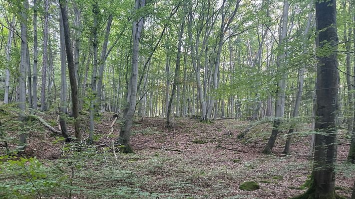 Blick nach Norden steil bergauf