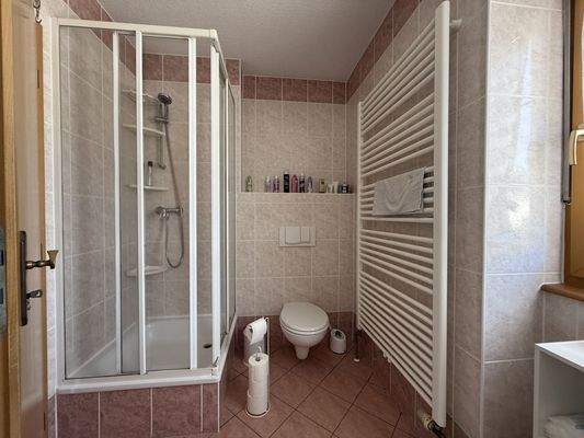 Badezimmer Dusche OG