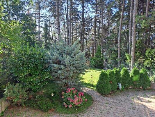 so einer schöner Garten mitten beim Wald