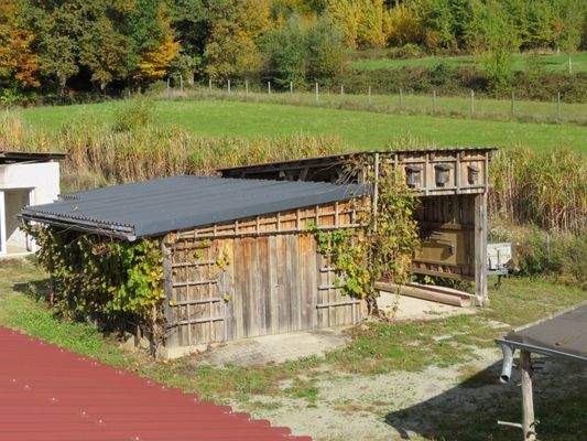  Werkstatt und Carport