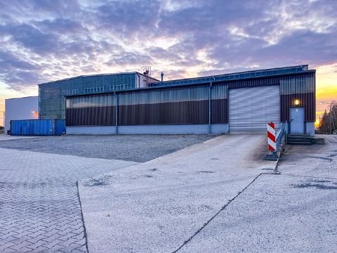 Ohorn Halle, Ohorn Hallenfläche