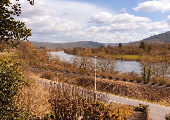 Ausblick auf den Main (EG)