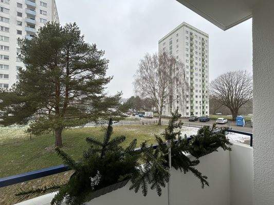 Ausblick vom Balkon 1. OG