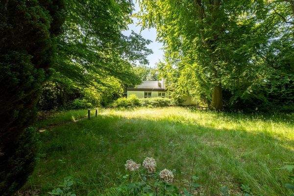 auf dem eigenen Grundstück